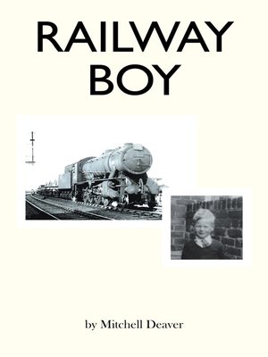 cover image of Railway Boy